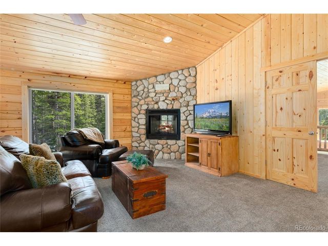696 Brook Dr, Idaho Springs, CO 80452