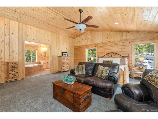 696 Brook Dr, Idaho Springs, CO 80452