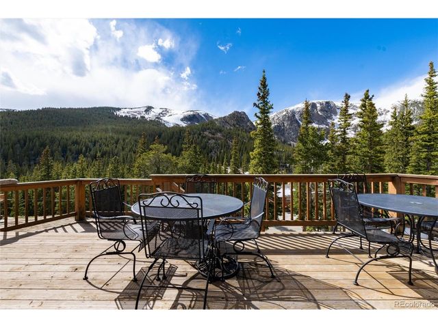 696 Brook Dr, Idaho Springs, CO 80452