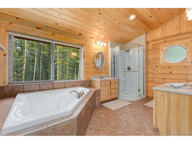 696 Brook Dr, Idaho Springs, CO 80452