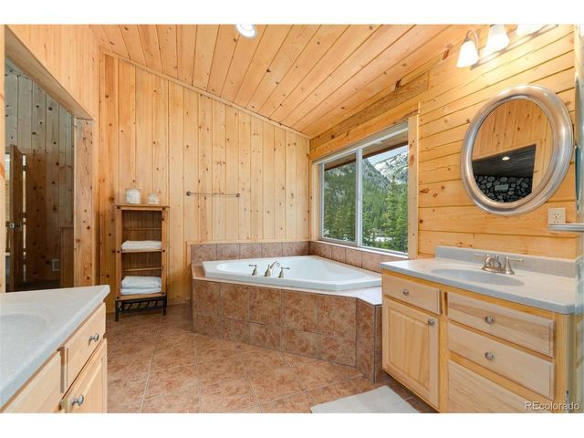 696 Brook Dr, Idaho Springs, CO 80452