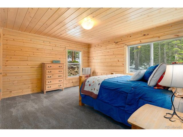 696 Brook Dr, Idaho Springs, CO 80452