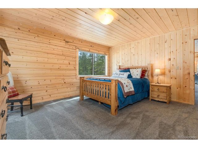 696 Brook Dr, Idaho Springs, CO 80452