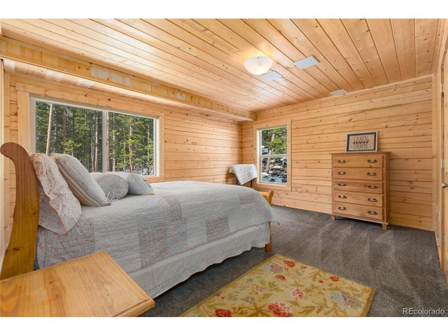 696 Brook Dr, Idaho Springs, CO 80452