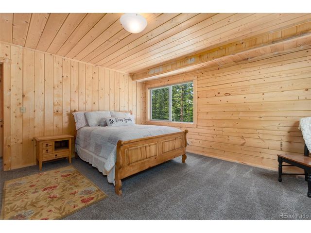 696 Brook Dr, Idaho Springs, CO 80452