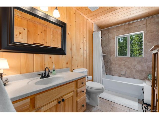 696 Brook Dr, Idaho Springs, CO 80452