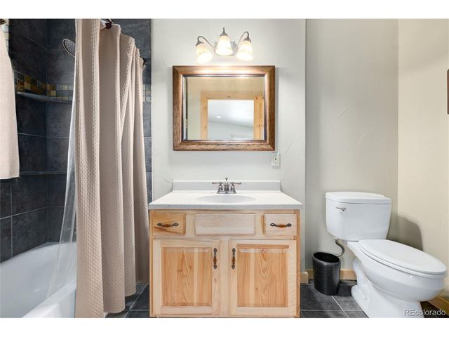 696 Brook Dr, Idaho Springs, CO 80452