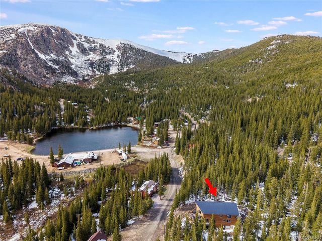 696 Brook Dr, Idaho Springs, CO 80452