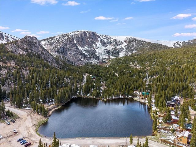 696 Brook Dr, Idaho Springs, CO 80452