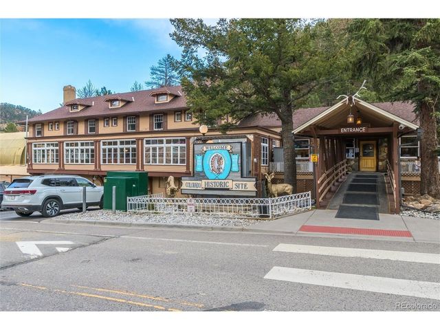 696 Brook Dr, Idaho Springs, CO 80452