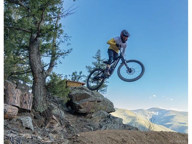696 Brook Dr, Idaho Springs, CO 80452