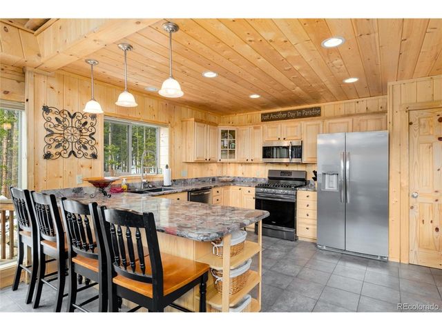 696 Brook Dr, Idaho Springs, CO 80452