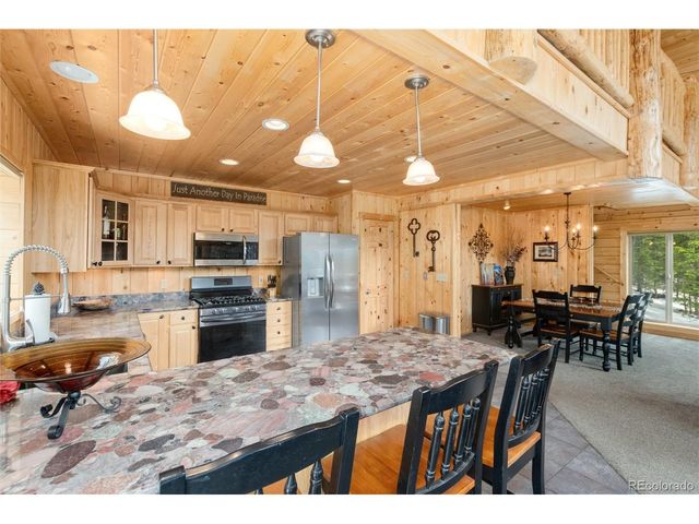 696 Brook Dr, Idaho Springs, CO 80452
