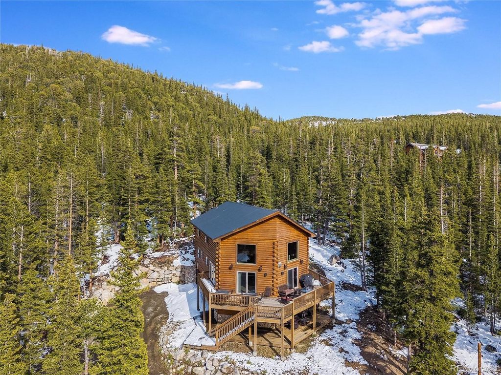 696 Brook Dr, Idaho Springs, CO 80452
