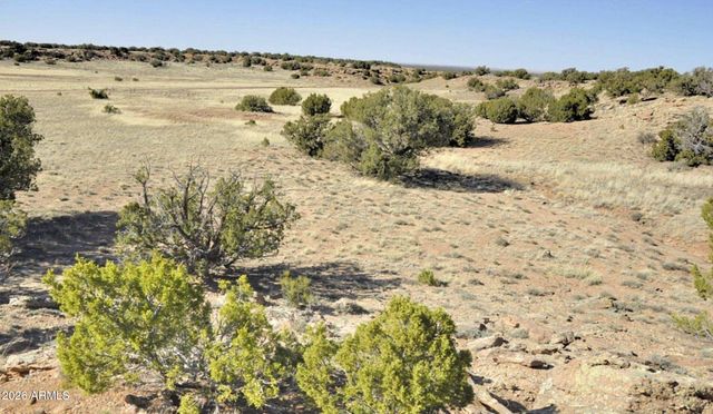 12 County Rd N8543 --, Concho, AZ 85924
