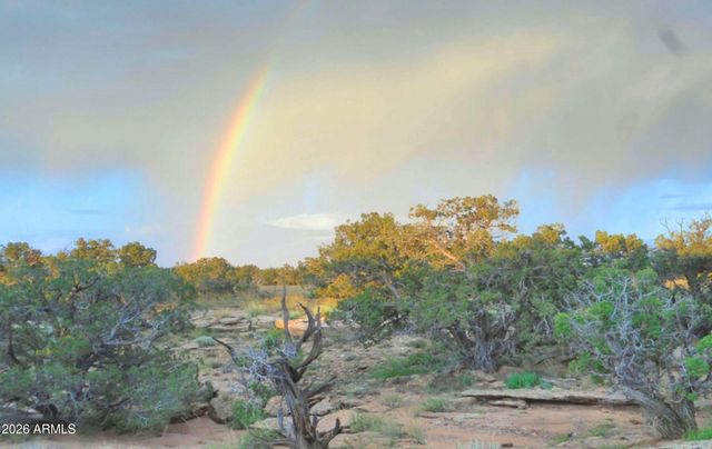 12 County Rd N8543 --, Concho, AZ 85924