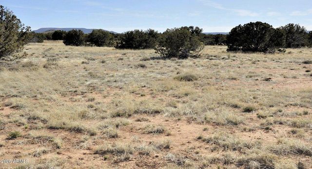 12 County Rd N8543 --, Concho, AZ 85924