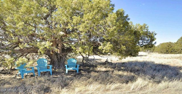 12 County Rd N8543 --, Concho, AZ 85924