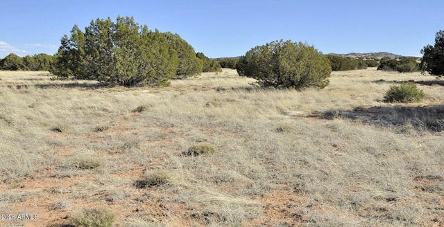 12 County Rd N8543 --, Concho, AZ 85924