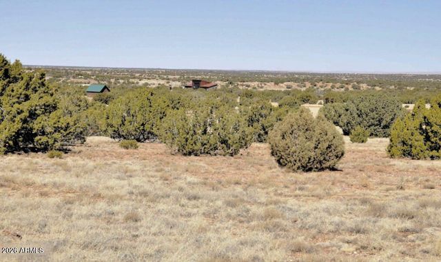 12 County Rd N8543 --, Concho, AZ 85924
