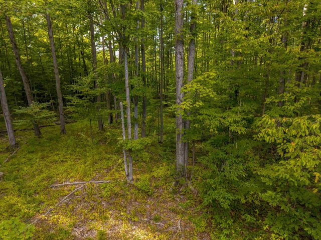 VL 12A NW Walker Road, Rapid City, MI 49676