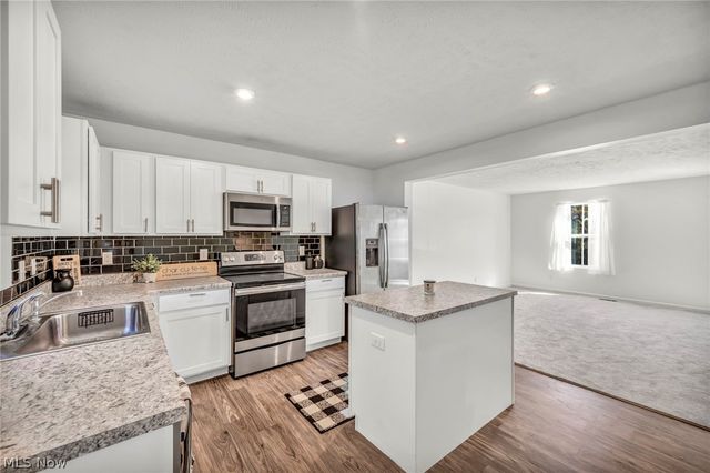 698 Pine Spring Drive, Painesville Twp, OH 44077