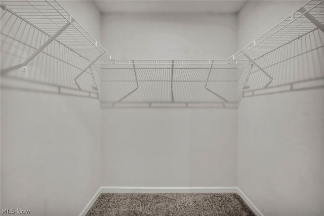 698 Pine Spring Drive, Painesville Twp, OH 44077