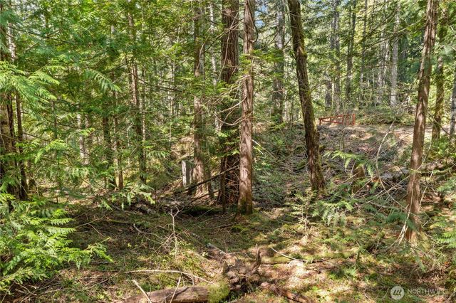 0 N White Tail Trail, Hoodsport, WA 98548