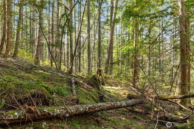 0 N White Tail Trail, Hoodsport, WA 98548