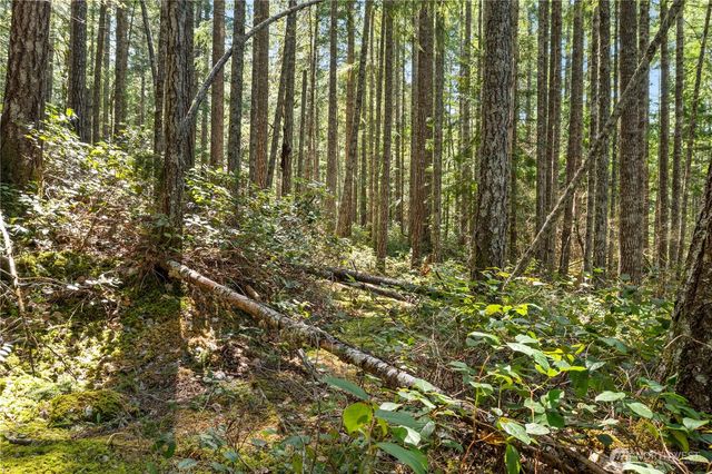 0 N White Tail Trail, Hoodsport, WA 98548
