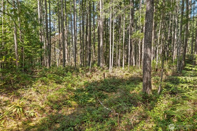 0 N White Tail Trail, Hoodsport, WA 98548