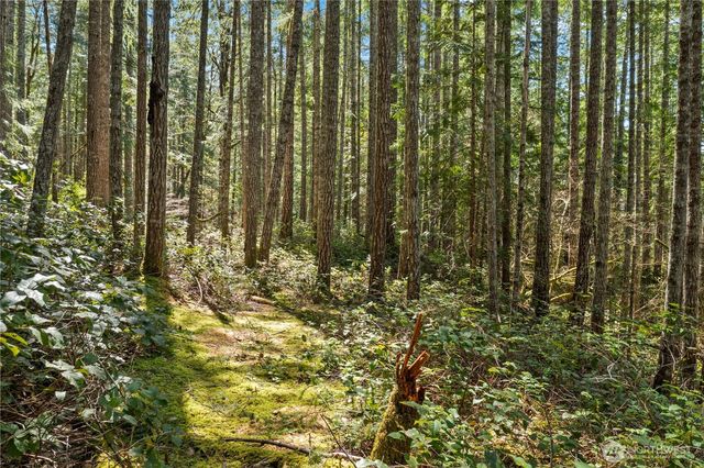 0 N White Tail Trail, Hoodsport, WA 98548