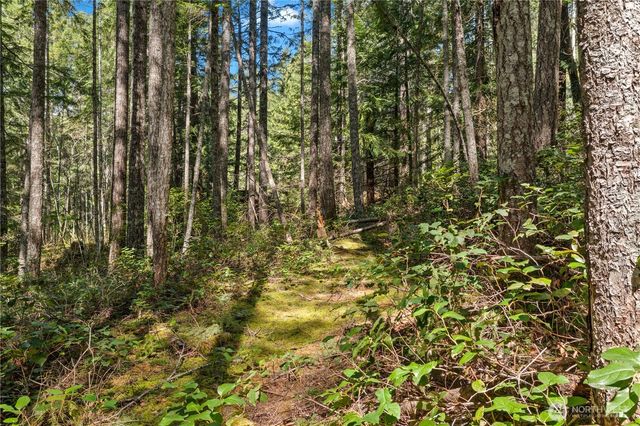 0 N White Tail Trail, Hoodsport, WA 98548