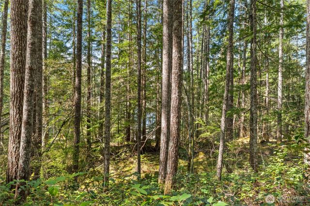 0 N White Tail Trail, Hoodsport, WA 98548