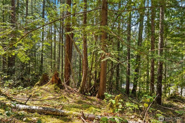 0 N White Tail Trail, Hoodsport, WA 98548