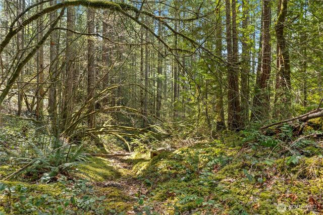 0 N White Tail Trail, Hoodsport, WA 98548