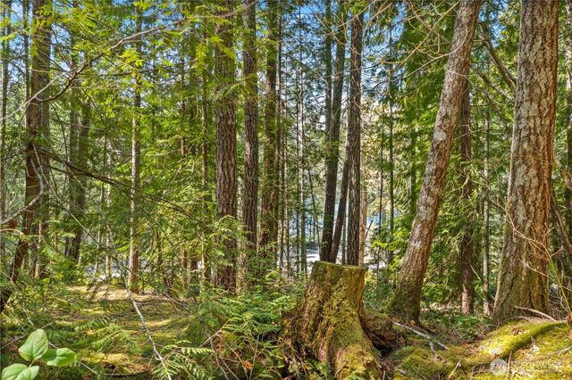 0 N White Tail Trail, Hoodsport, WA 98548