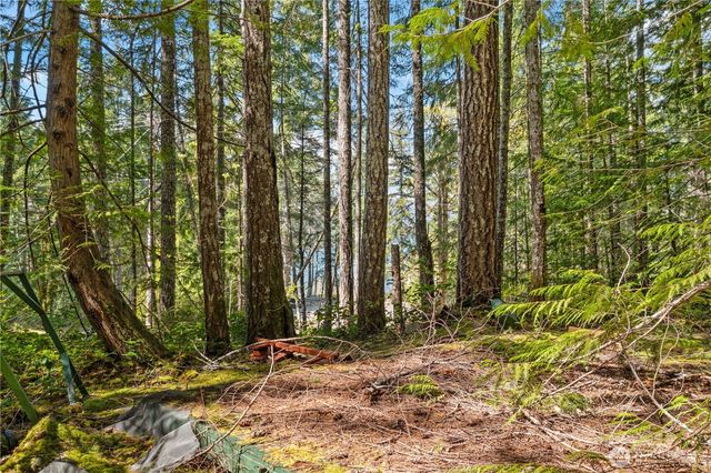 0 N White Tail Trail, Hoodsport, WA 98548