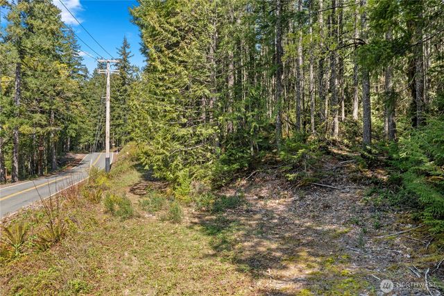0 N White Tail Trail, Hoodsport, WA 98548