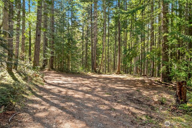 0 N White Tail Trail, Hoodsport, WA 98548