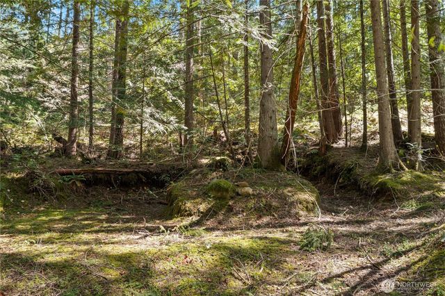 0 N White Tail Trail, Hoodsport, WA 98548