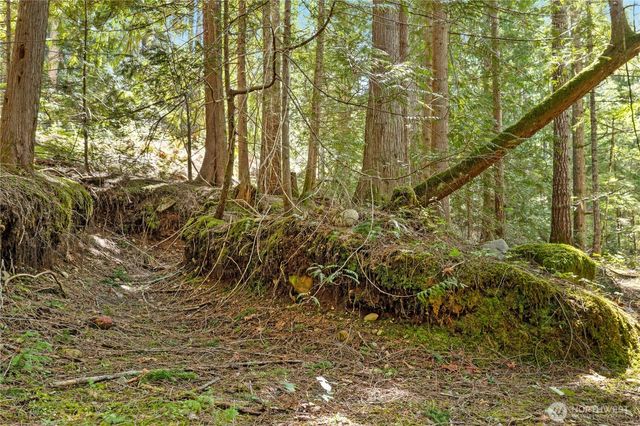 0 N White Tail Trail, Hoodsport, WA 98548