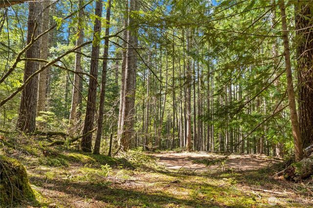 0 N White Tail Trail, Hoodsport, WA 98548