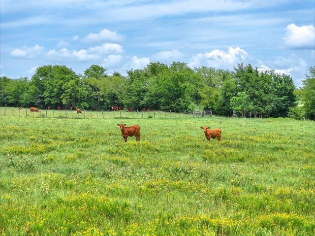 Tract 2 FM 855, Jacksonville, TX 75766