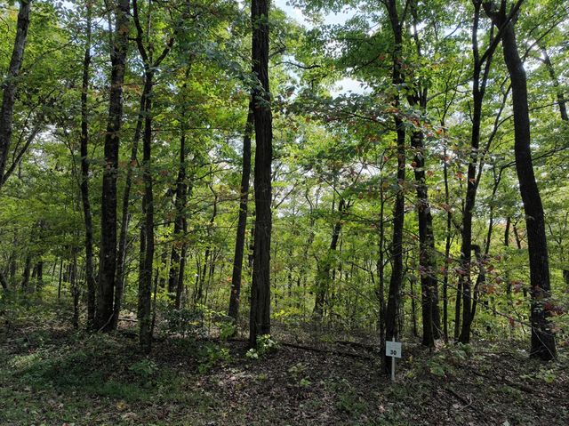 30 Andes Ridge, Jasper, GA 30143