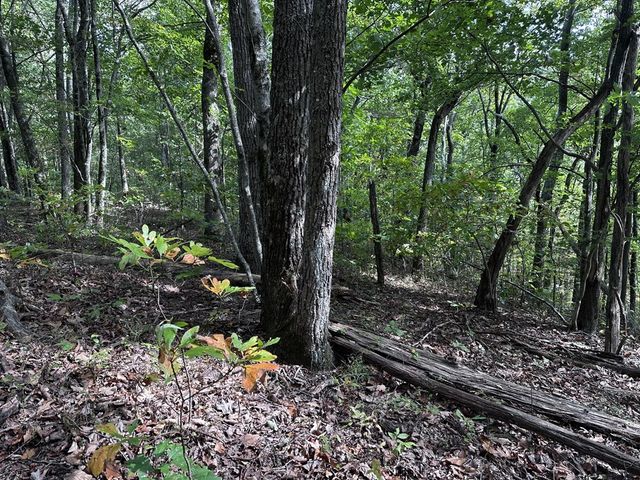 30 Andes Ridge, Jasper, GA 30143