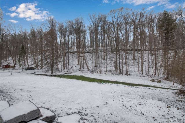 9767 Greiner Road, Clarence, NY 14031