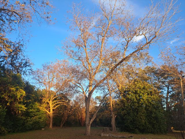 6715 Young Street, Rembert, SC 29128