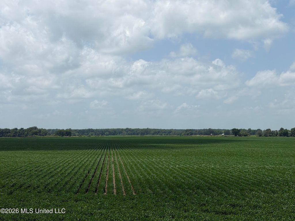 Hot Thornton Road, Tunica, MS 38676 — photo 2
