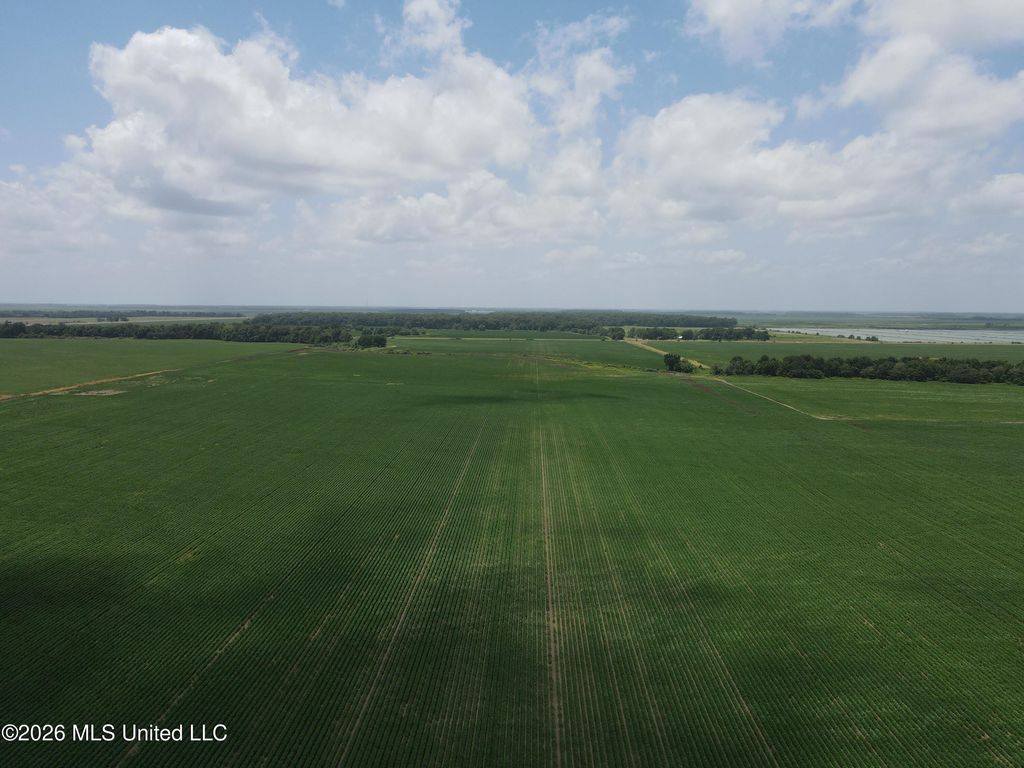 Hot Thornton Road, Tunica, MS 38676 — photo 3